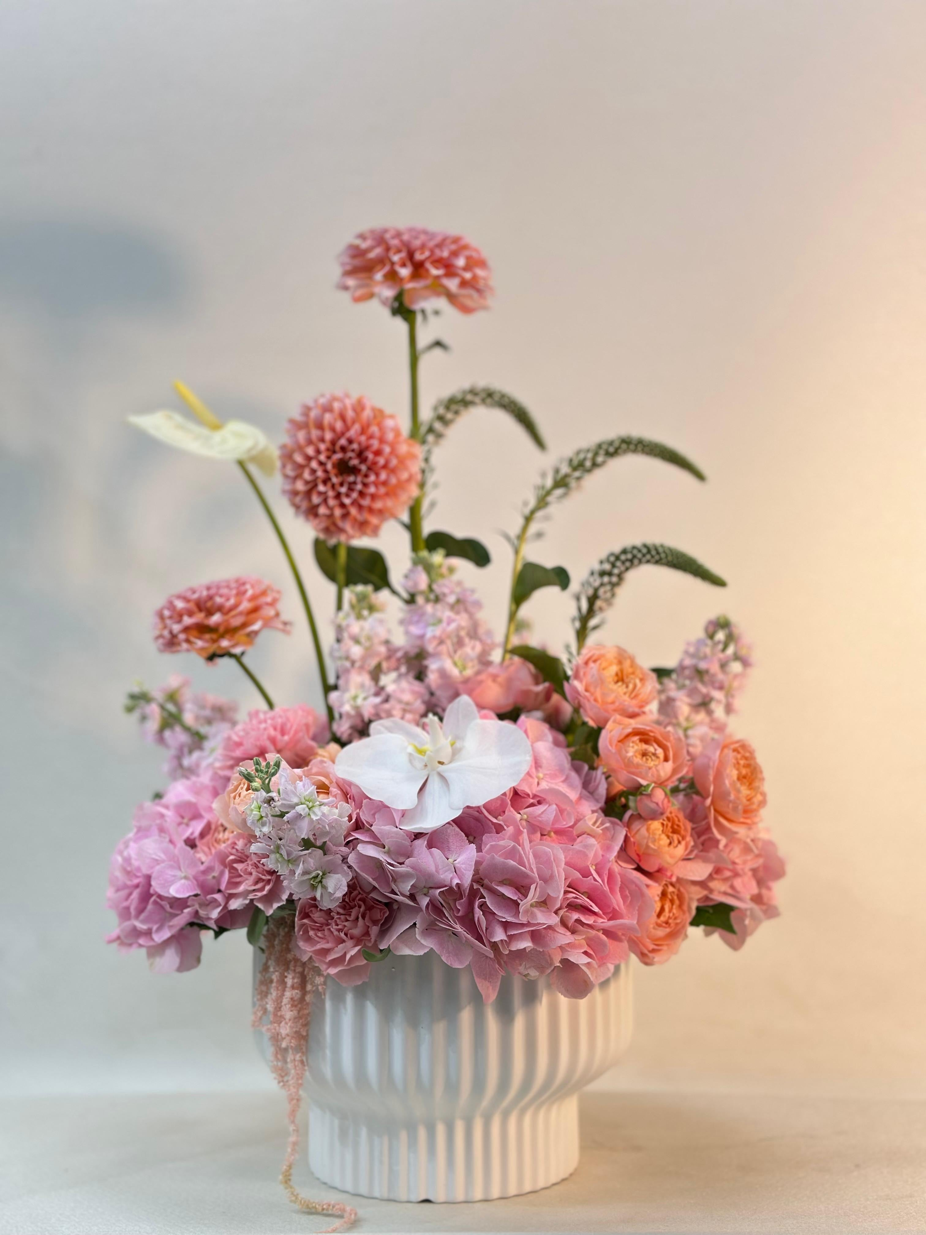 Options to customize your arrangements and preferences.