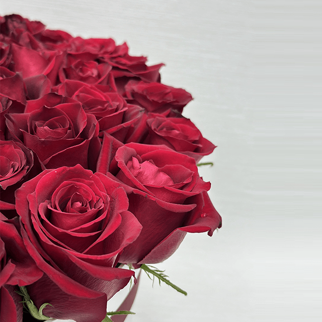 JENEEN FLOWERS 55 pieces Amalia Red