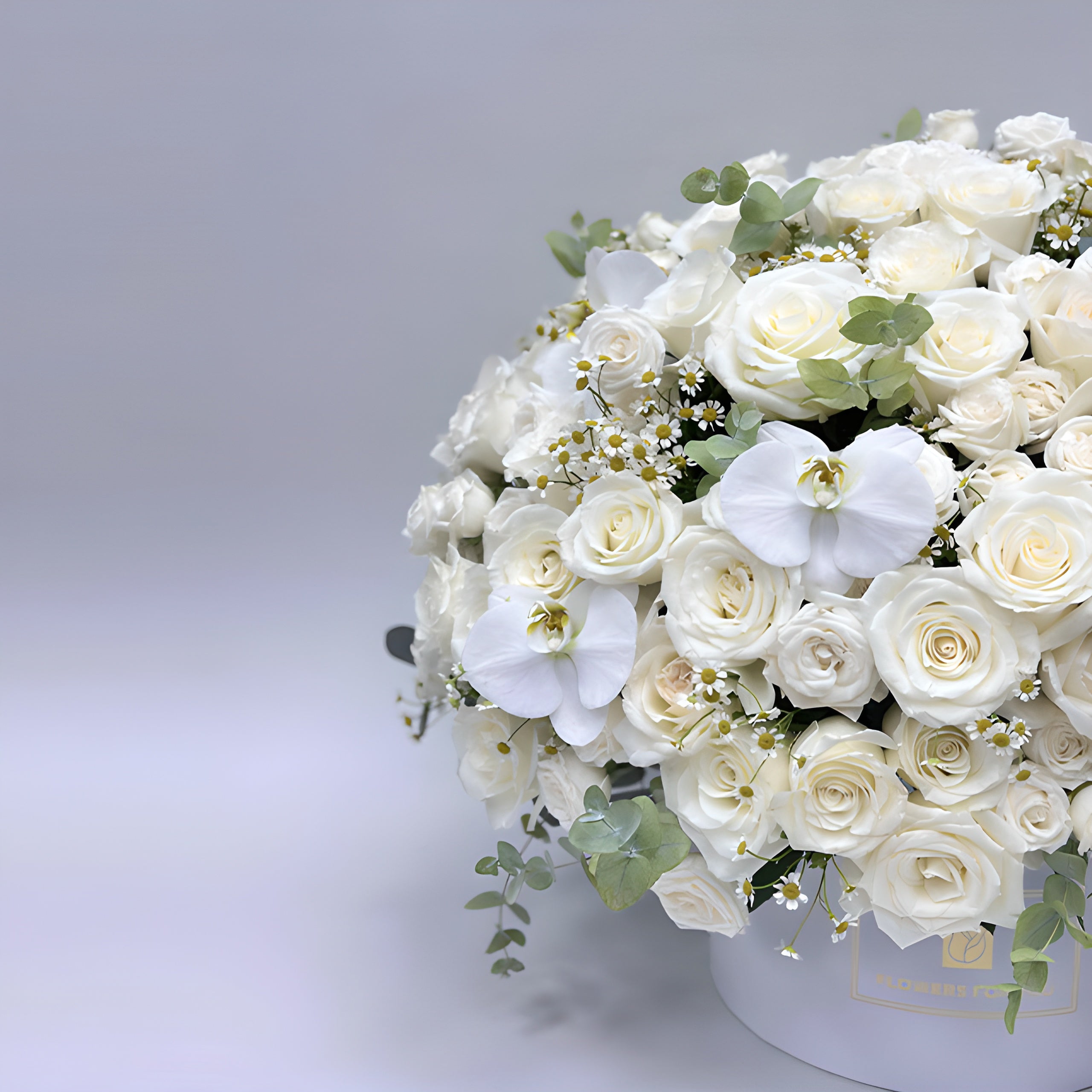 JENEEN FLOWERS flowers Bright White